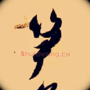 笋