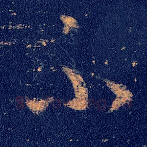 不