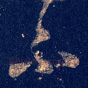 不