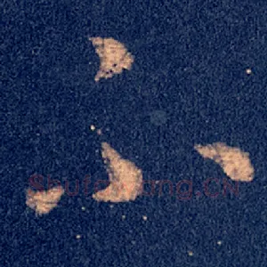 不