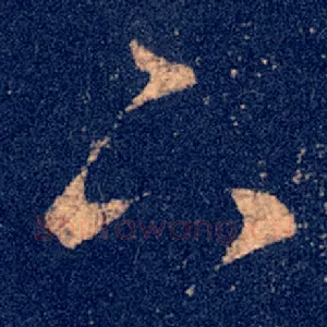 下