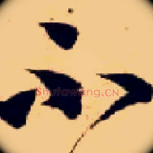 不