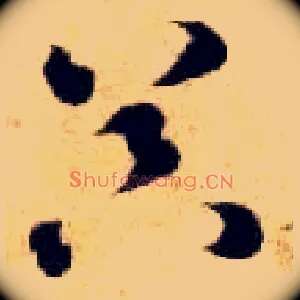 器