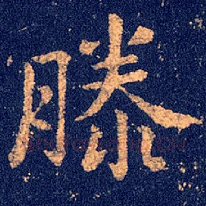 滕