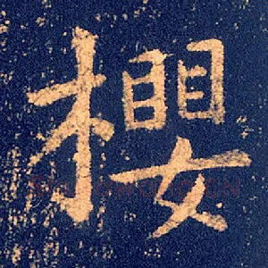 樱