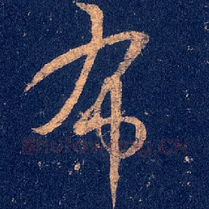 布