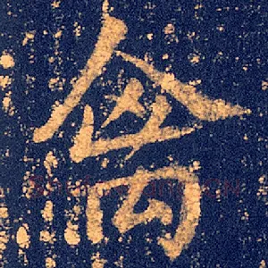 禽