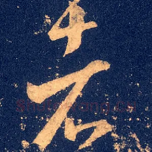 者