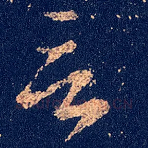 言