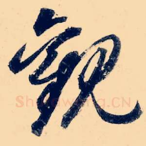 观