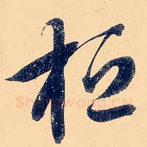 桓