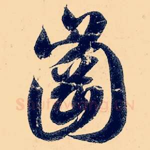 冈