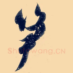 笋