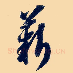 薪