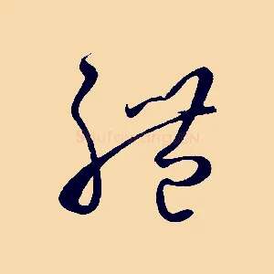 體