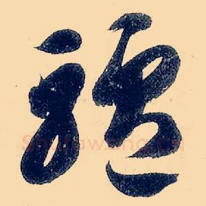 驴