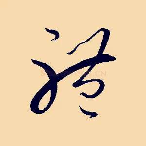 體
