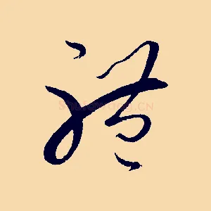 體
