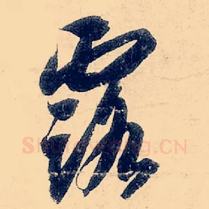 露