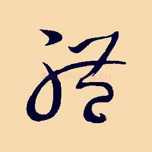 體