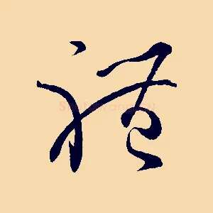 體
