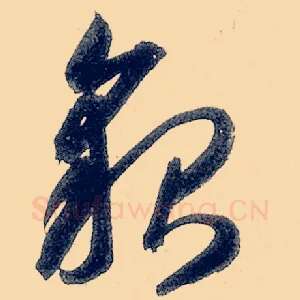 貌