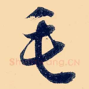 毛