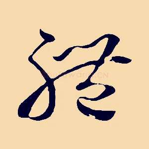 體