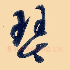 琴