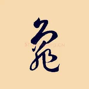 龜