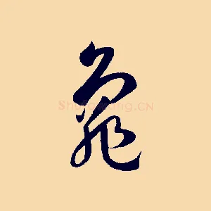 龜