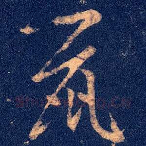 鼠